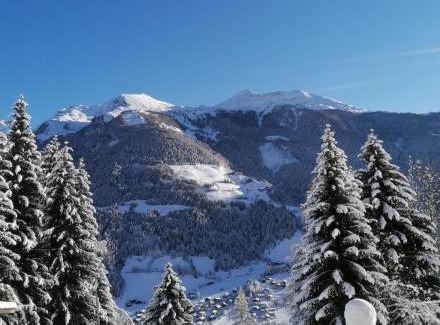 Grosskirchheim Maison | Ferienhütte Sternenblick