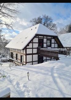 Feriendorf Frankenau Appartement | Ferienhaus am Wald