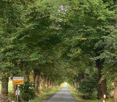 Blengow Maison | Ferienhaus an der Ostsee mit großem Garten