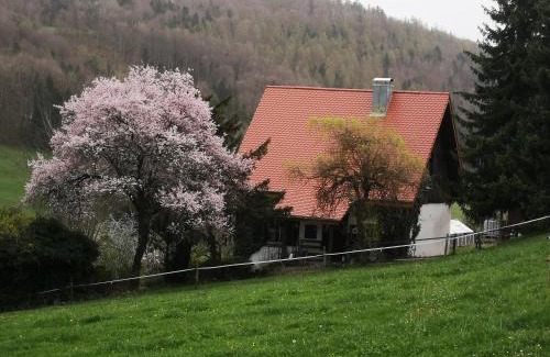 Mauchen Maison | Ferienhaus Aschoff