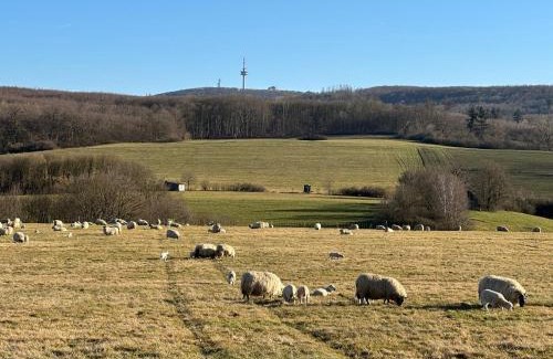 Luegde Appartement | Ferienhaus – Bergblick am Köterberg