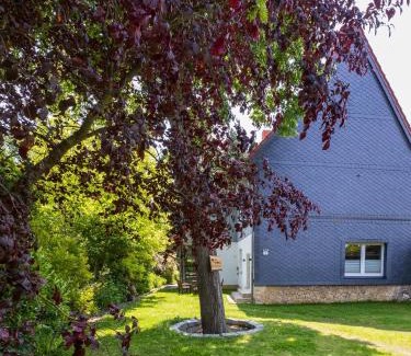 Ellrich Maison | Ferienhaus Big Family