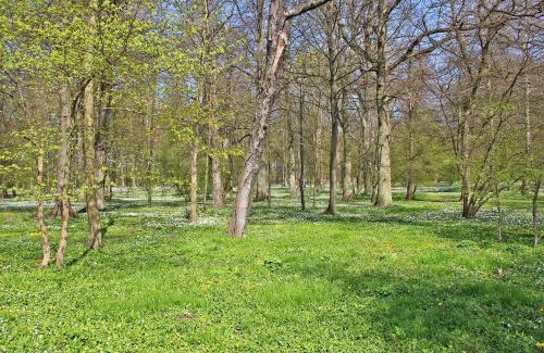 Breege Maison | Ferienhaus Breege RUeG 1952