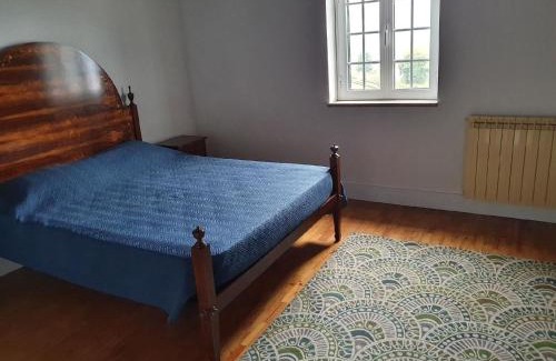 Oliveira de Frades Maison | Ferienhaus für 20 Personen in Ribeiradio, Regio Centro Beira