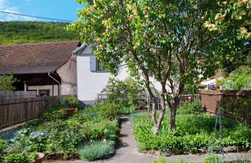 Badenweiler Maison | Ferienhaus Hildahüsli