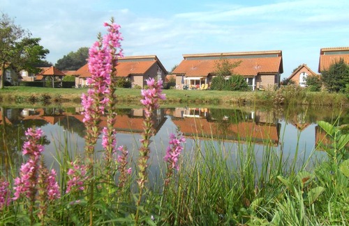 Haren Maison | Ferienhaus im Golfpark
