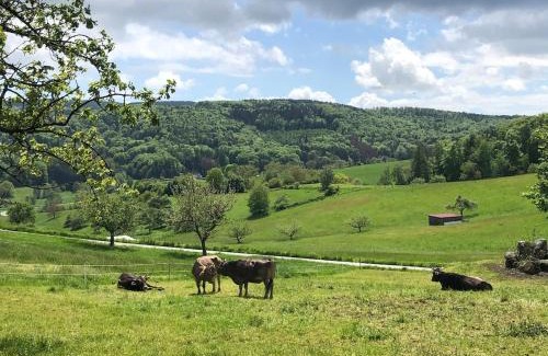Modautal Appartement | Ferienhaus im Odenwald
