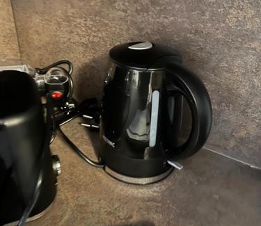 Lobervorstadt Appartement | Ferienhaus in Erfurt-gemütlich-sonnig-Küche-Bad-Garten-Parken-Pool-Sauna-WLAN-CaroGrün