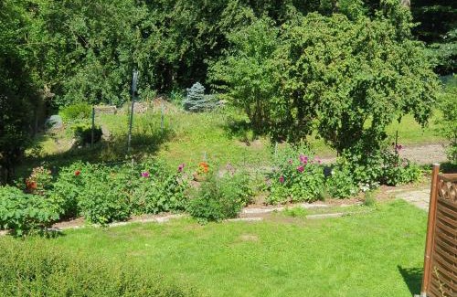 Grunhof Maison | Ferienhaus in Geesthacht-Tesperhude direkt am Waldrand