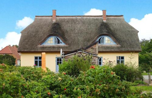 Neuenkirchen Maison | Ferienhaus in Vieregge mit Garten