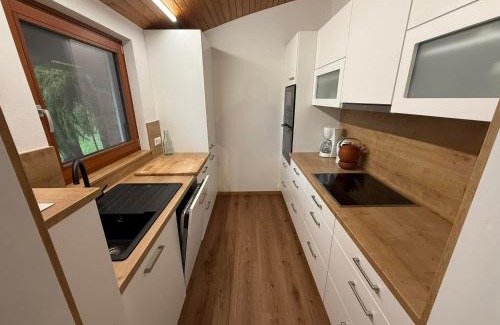 Kotschach-Mauthen Appartement | Ferienhaus Kötschach 356