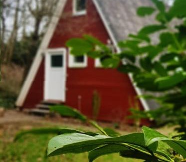 Feriendorf Eichwald Maison | Ferienhaus Kleine Auszeit