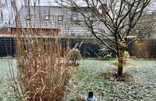 Weener Maison | Ferienhaus Kleine Auszeit 25510