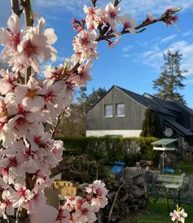 Groß Kreutz Maison | Ferienhaus Lotte Havelland