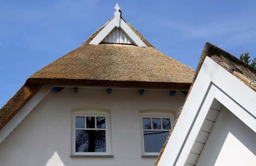 Trassenheide Maison | Ferienhaus Rubin mit Sauna und Kamin, Reetdachhaus am Walde