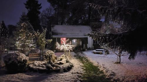 Schonwalde Maison | Ferienhaus Schatz