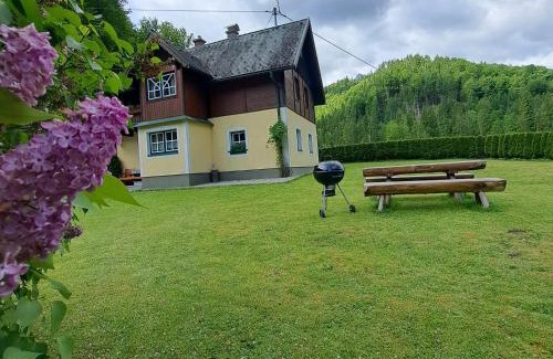 Landl Chalet De Ski | Ferienhaus Schlossblick