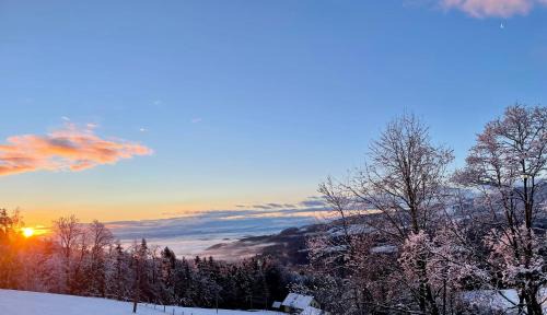 Sankt Stefan ob Stainz Appartement | Ferienhaus Sonnsitzer