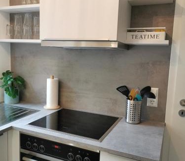 Laufen Appartement | Ferienhaus Theodor OG