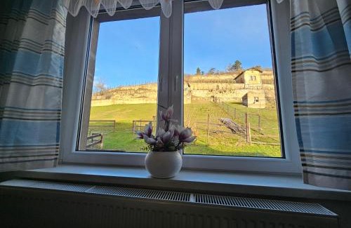 Freyburg Appartement | Ferienhaus und Straußwirtschaft im Weinberg