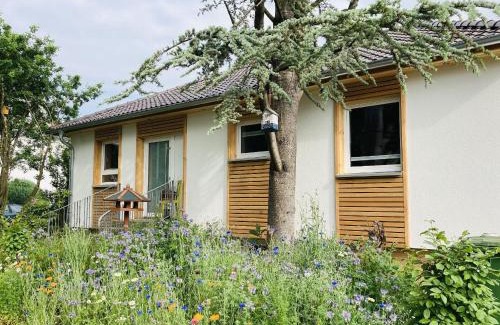 Hofgeismar Maison | Ferienhaus Urwald