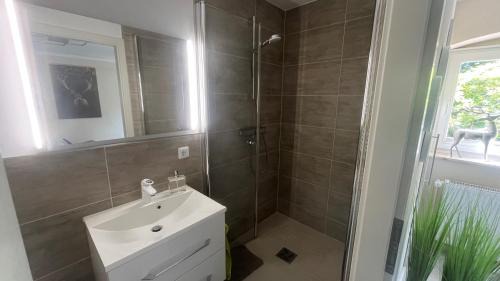 Bad Sachsa Appartement | Ferienhaus Vier Jahreszeiten