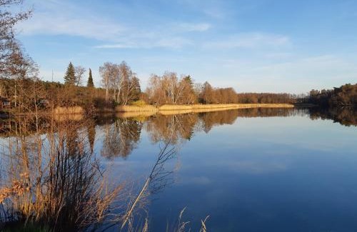 Reinharz Maison | Ferienhaus Waldblick