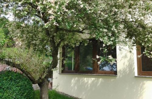 Sangerhausen Maison | Ferienhaus Waldblick