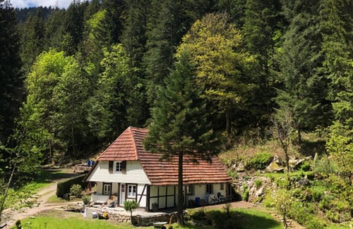 Hornberg Appartement | Ferienhaus Waldhäusle, 70qm, 2 Schlafzimmer, Max. 4 Personen