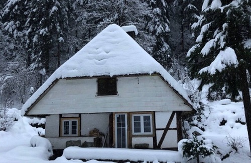 Hornberg Appartement | Ferienhaus Waldhäusle, 70qm, 2 Schlafzimmer, Max. 4 Personen