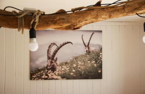 Buers Maison | Ferienhaus zum Klettersteig - Kletterwand, Abstellraum für Ski oder Bikes, Sauna, Kellerbar,