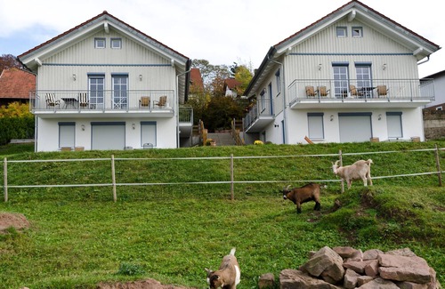 Rothenberg Maison | Ferienhof Rothenberg Premium Group offre pour 8 à 16 personnes
