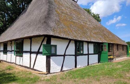 Biendorf Maison | Ferienhof Schwalbennest OFC 24
