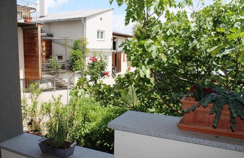 Gols Appartement | Ferienhof Weingut Lunzer
