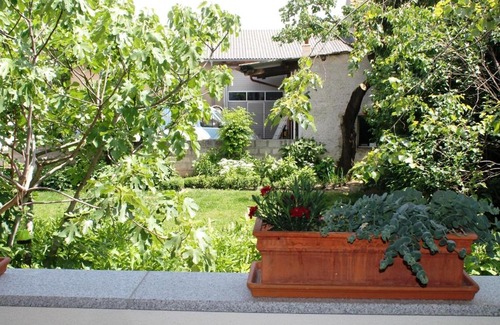 Gols Appartement | Ferienhof Weingut Lunzer