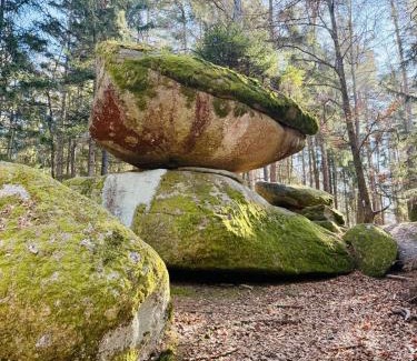 Schofweg Appartement | Ferienland Sonnenwald Fewo 46 und Studio 50 in Schöfweg Bayerischer Wald