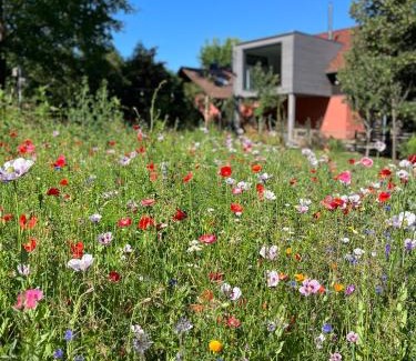 Straupitz Appartement | Ferienloft Libela Straupitz im Spreewald