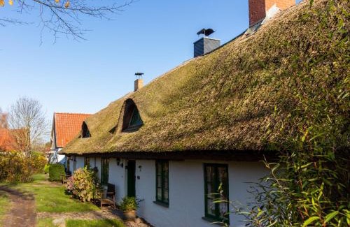 Neuenkirchen Maison | Ferienpark Vieregge - Haus 1 D