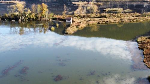 Steindorf am Ossiacher See Appartement | Ferienwohnung Kamot