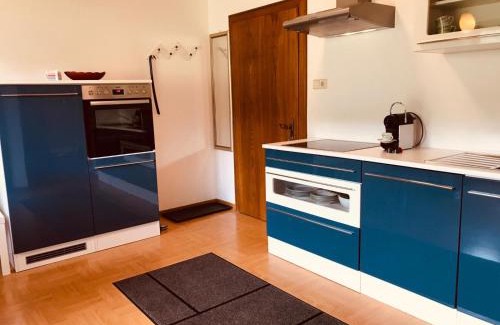 Steindorf am Ossiacher See Appartement | Ferienwohnung Resi mit traumhaftem Seepanorama