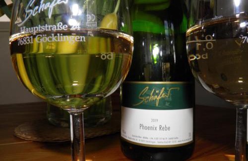 Gocklingen Appartement | Ferienweingut Schäfer