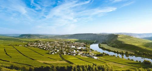 Leiwen Appartement | Ferienweingut Ulrike Thul