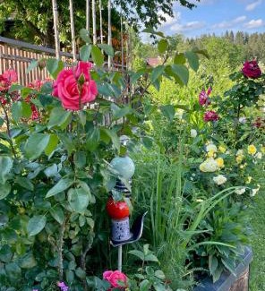 Sankt Stefan ob Stainz Appartement | Ferienwohnung Fam. Lerch