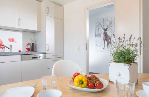 Benneckenstein Appartement | Ferienwohnung Harzer Bachtäler