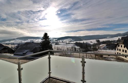 Bernau Appartement | Ferienwohnung Kraftquelle im Wohnpark SchwarzwaldBlick, Bernau