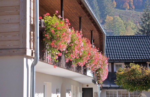 St. Blasien Appartement | Ferienwohnung 8 - Herzogenhorn OG, 73qm, 2 Schlafzimmer, max. 6 Personen