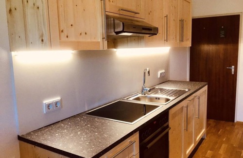 Balderschwang Appartement | Ferienwohnung Alpenrose - Almhof Lässer