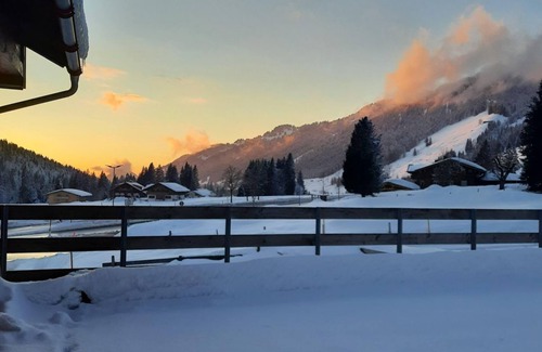 Balderschwang Appartement | Ferienwohnung Alpenrose - Almhof Lässer
