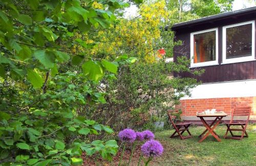 Dummer Appartement | Ferienwohnung am Dümmer See