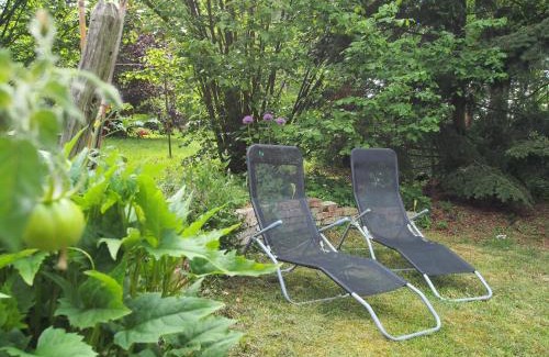 Dummer Appartement | Ferienwohnung am Dümmer See